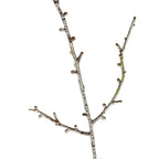Close-up of intersecting artificial twigs, showing short branch stubs and an irregular pale mottled finish over brown tones.