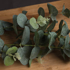 Close-up of artificial eucalyptus resting on wood, showing pale vein networks across blue-green leaves and lighter green growth.