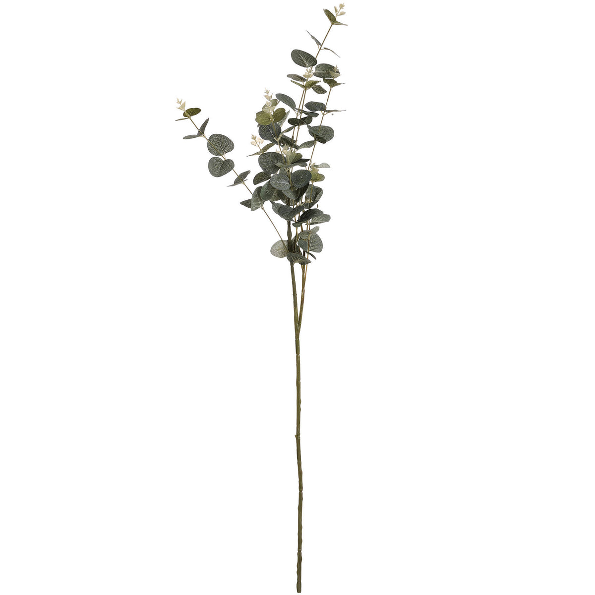 Full artificial eucalyptus spray on white, with a long green stem and branching clusters of rounded veined leaves.