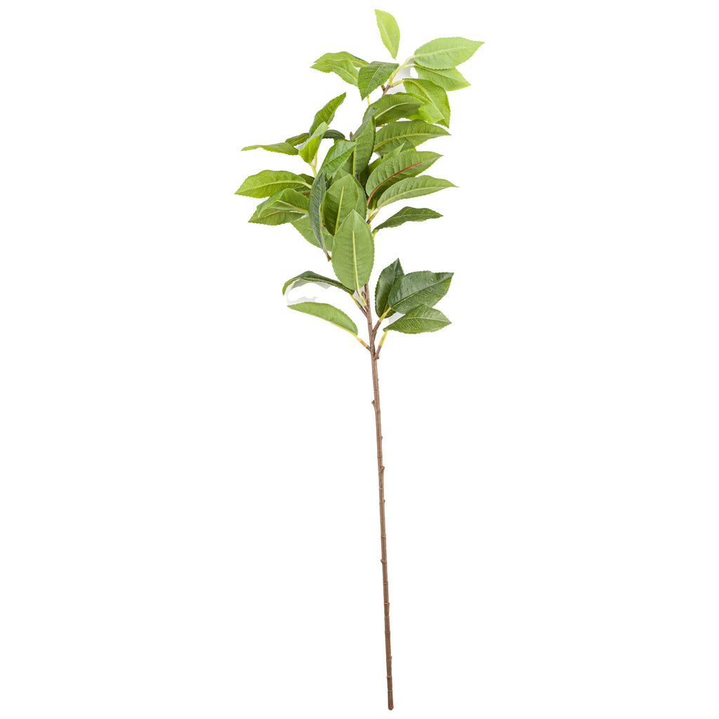 Artificial laurel-style spray against a white background, with a long brown stem and clustered green leaves showing serrated edges and fine veins.