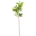 Artificial laurel-style spray against a white background, with a long brown stem and clustered green leaves showing serrated edges and fine veins.