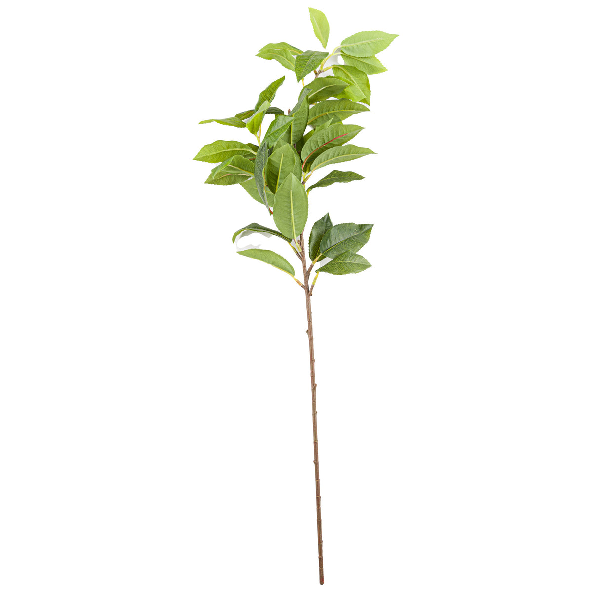 Artificial laurel-style spray against a white background, with a long brown stem and clustered green leaves showing serrated edges and fine veins.