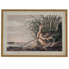 Front view of a framed print showing two long-billed wading birds beside reeds and water, bordered by a pale textured surround and tan-gold beaded frame.