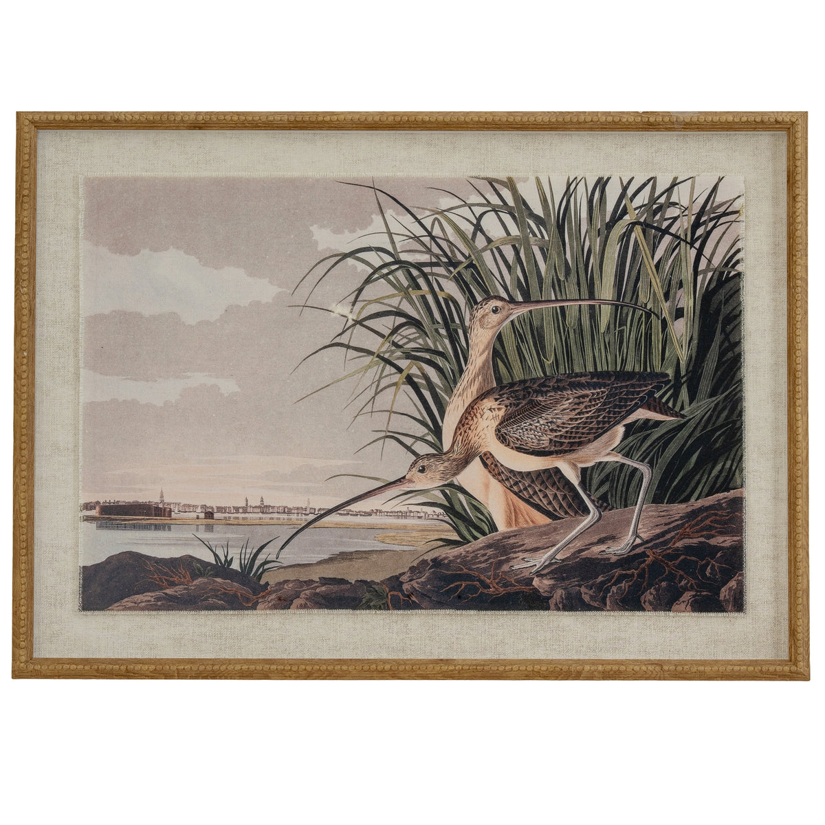 Front view of a framed print showing two long-billed wading birds beside reeds and water, bordered by a pale textured surround and tan-gold beaded frame.