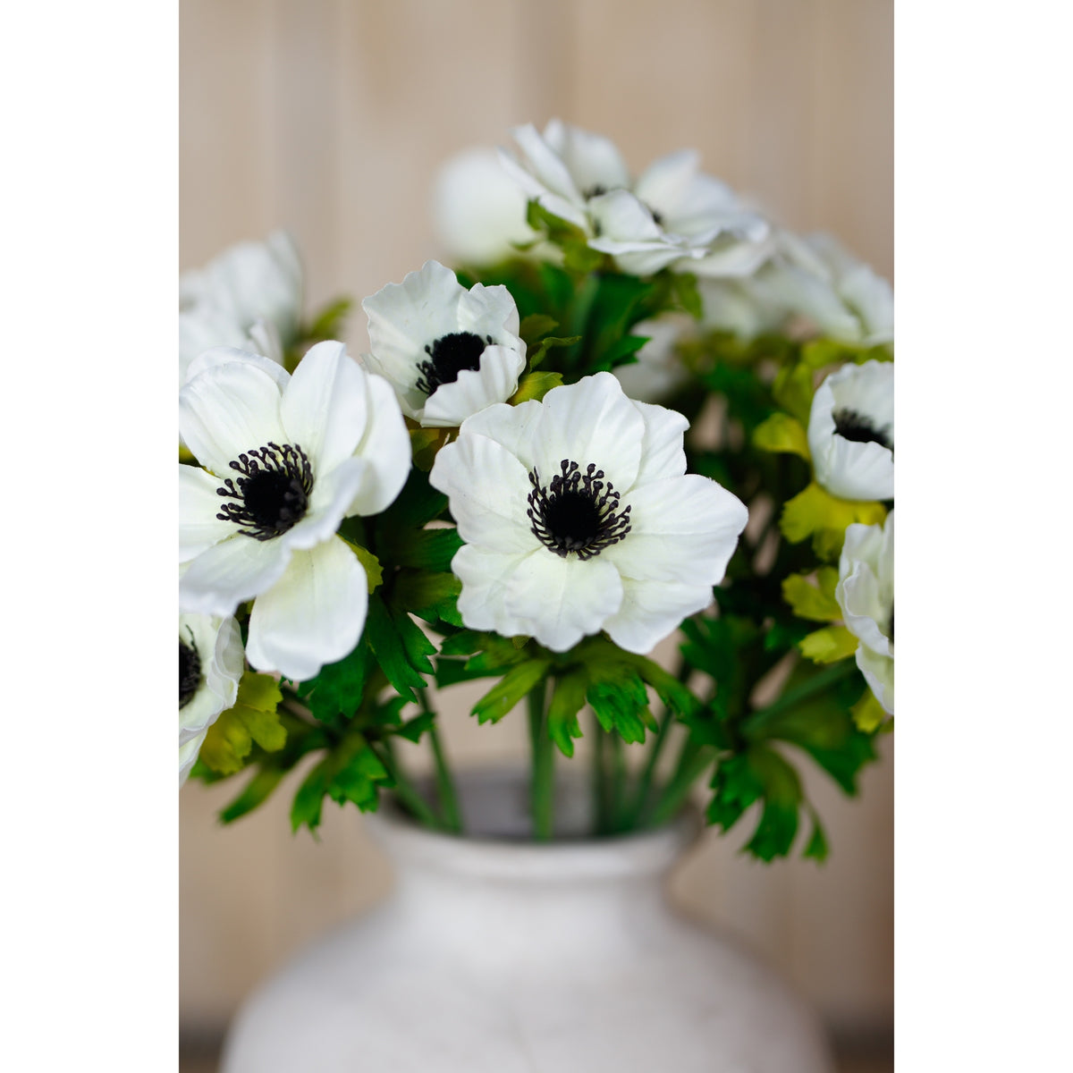 Close view of white anemone flowers with dark centres and green foliage above the rim of a white vase, with a softly blurred background.