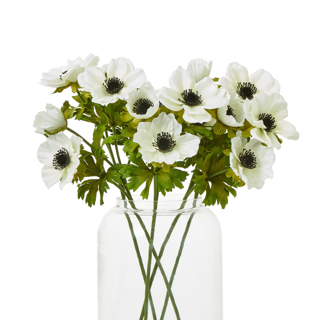 An arrangement of white dark-centred anemone flowers and green foliage in a clear vase, with crossing stems visible through the sides.