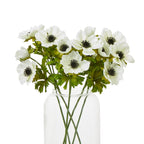 An arrangement of white dark-centred anemone flowers and green foliage in a clear vase, with crossing stems visible through the sides.