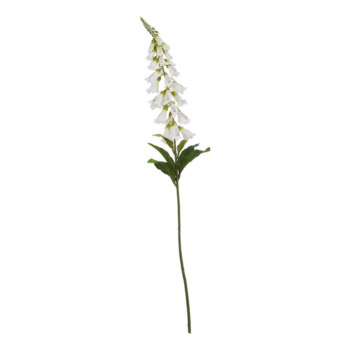 White artificial foxglove stem on a white background, with a tapering flower spike, green leaves and a long green stem.