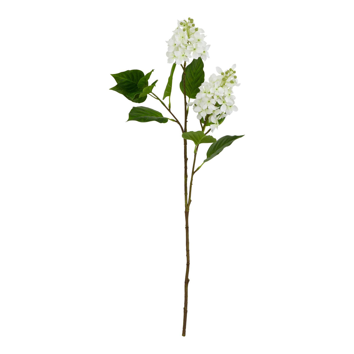 Full view of the white artificial flower stem, with two elongated flower clusters, broad pointed green leaves and a long brown branching stem against white.