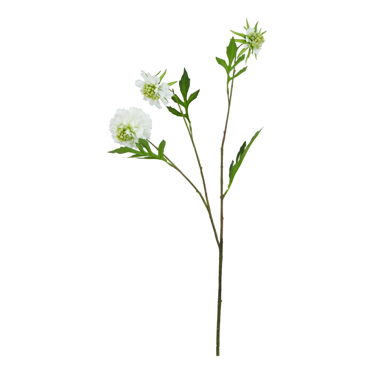 Full view of a white artificial scabious stem with three flower heads on branching stems and narrow green leaves against a white background.