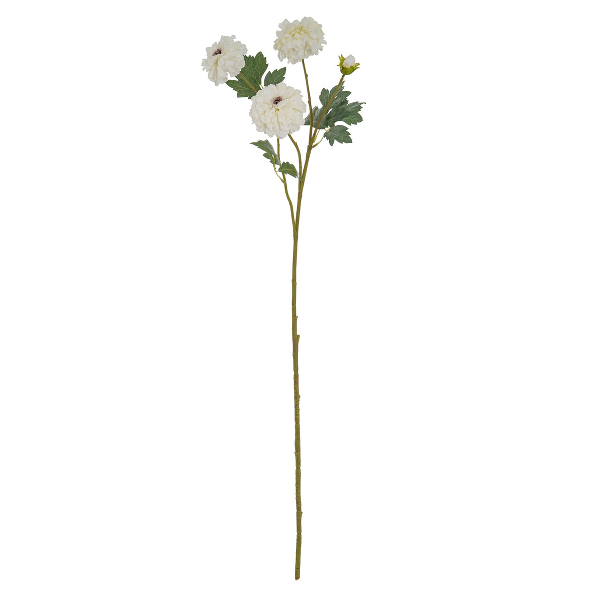 Full view of an artificial white flower spray with a long green-brown stem, three round blooms, a closed bud and dark green leaves.
