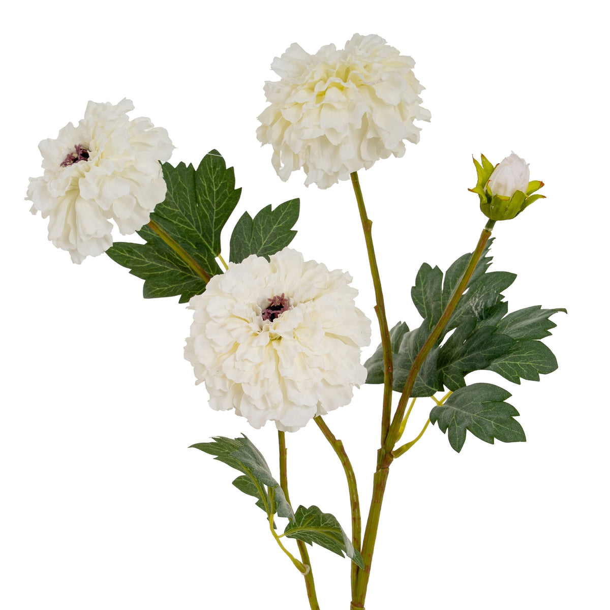 Upper branches of the white flower spray, showing three densely layered blooms, a pale closed bud and lobed leaves with visible veins.