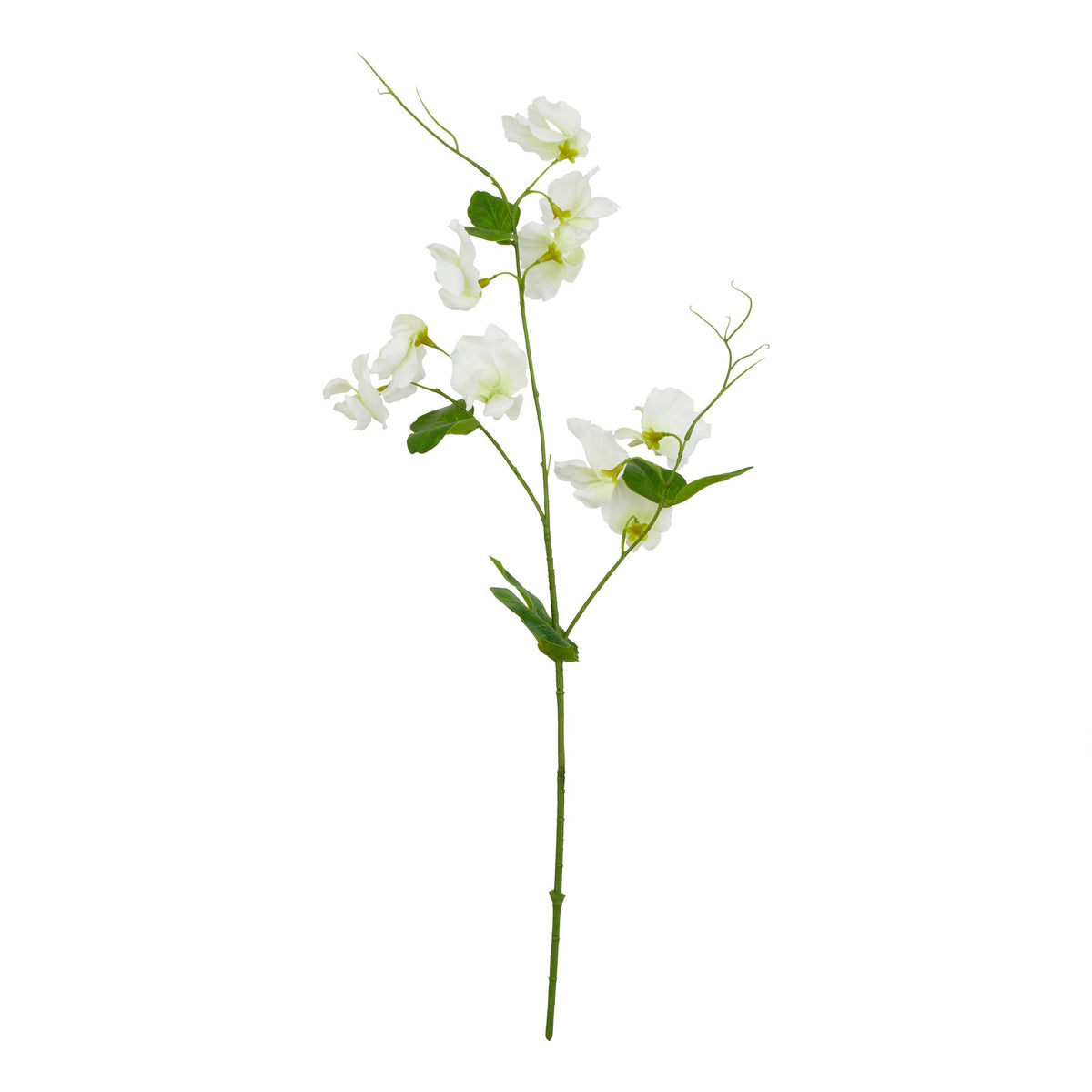 Full view of an artificial flower stem with branching green stems, loose white blooms, pointed leaves and curling tips against a white background.