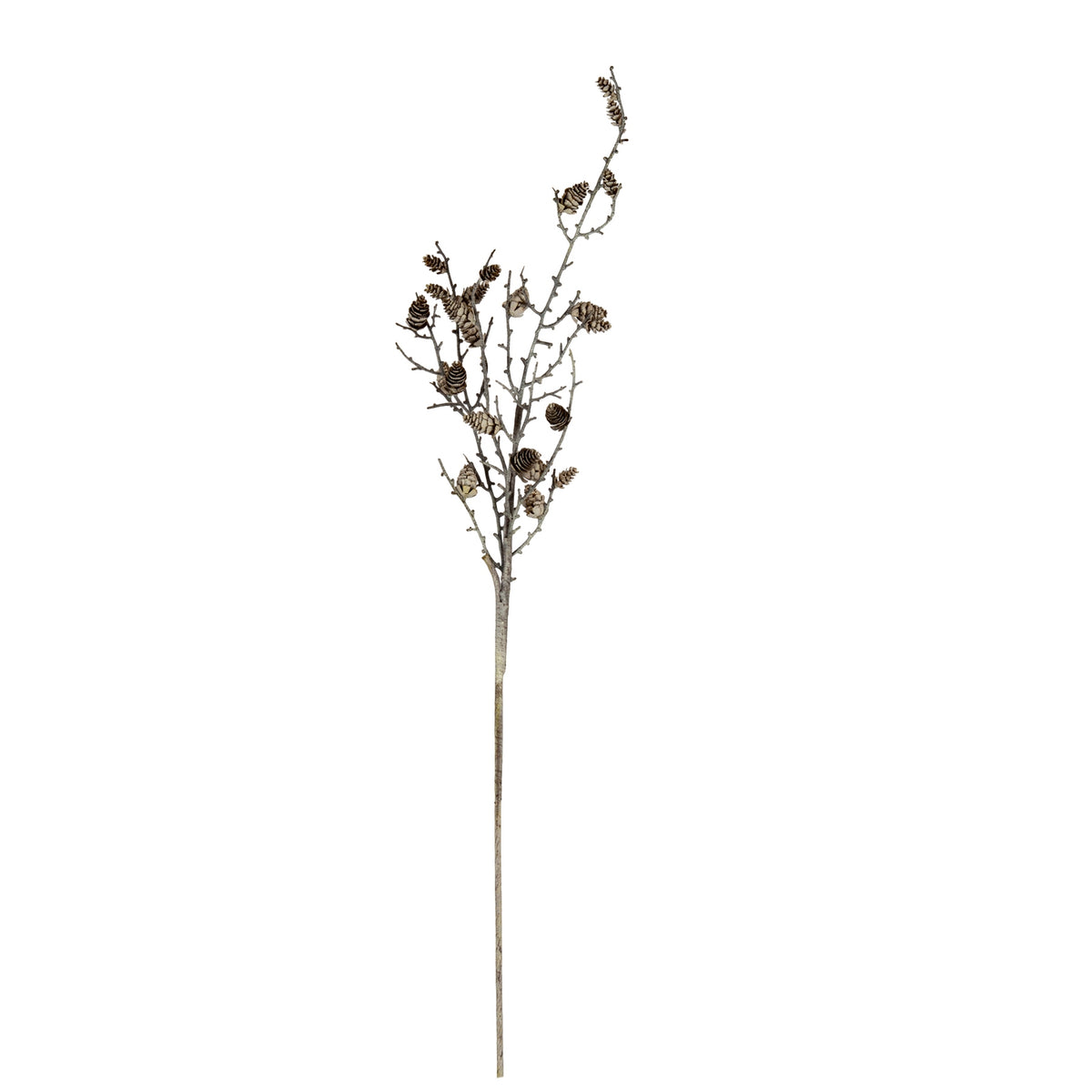 Full view of the Whiteedge Conebranch artificial botanical spray, with a long bare stem and narrow upper branches dotted with pale-edged brown pinecone forms.