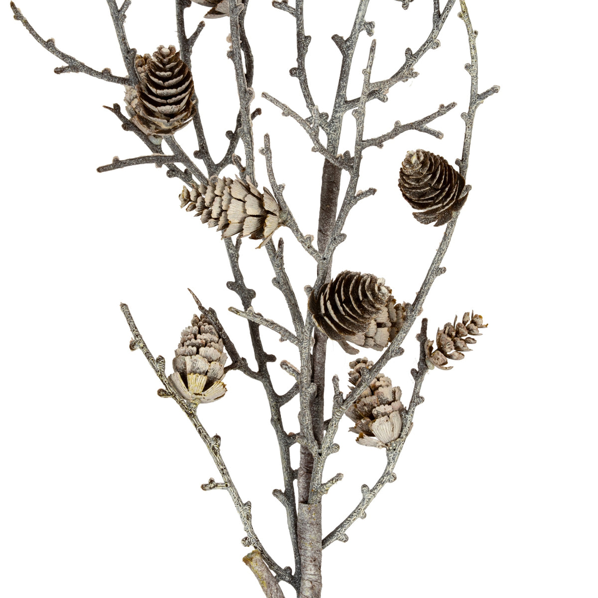 Close-up of layered brown pinecone forms with off-white coated edges among grey-brown twigs with bark-like texture and short nubs.
