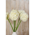 Closer view of cream globe flowers and green stems above the neck of a white vase, with pale wood panelling behind.