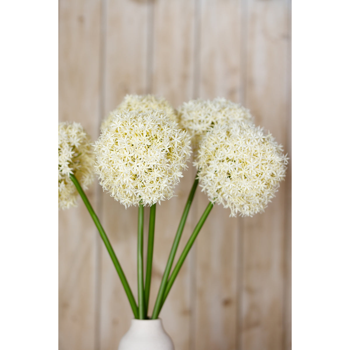 Closer view of cream globe flowers and green stems above the neck of a white vase, with pale wood panelling behind.