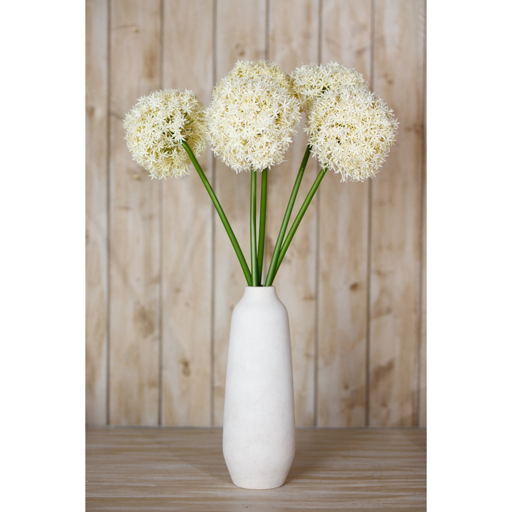 Cream globe flower stems fanned out in a tall white vase on a wooden surface in front of pale wood panelling.