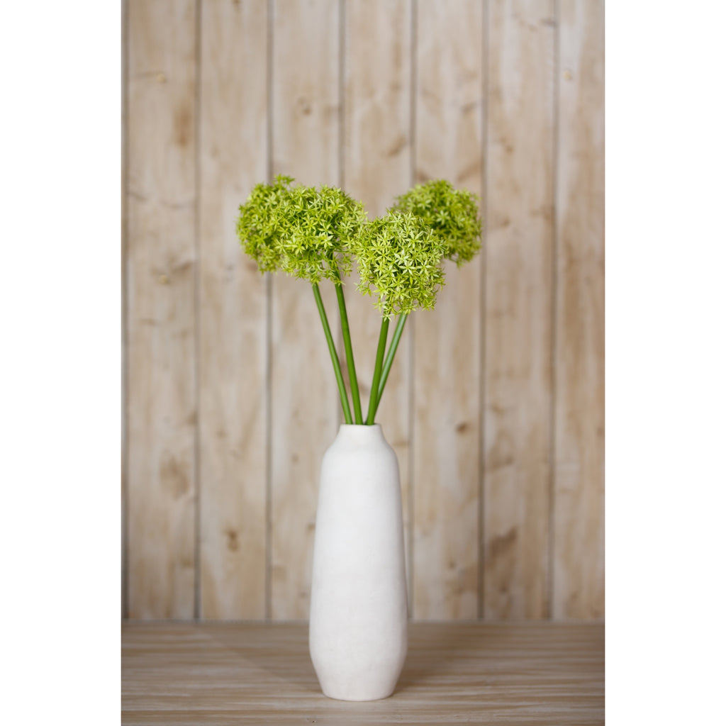 Green globe flower stems styled in a tall white vase on a wooden surface in front of pale vertical timber boards.