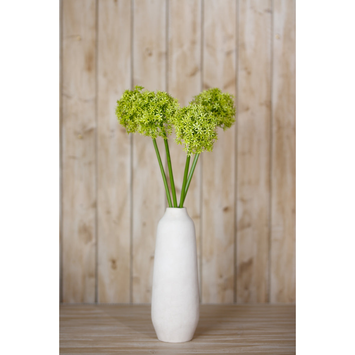 Green globe flower stems styled in a tall white vase on a wooden surface in front of pale vertical timber boards.
