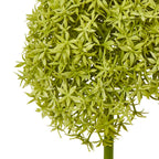 Close-up of narrow green star-shaped florets layered across the globe head, with the top of the stem visible below.