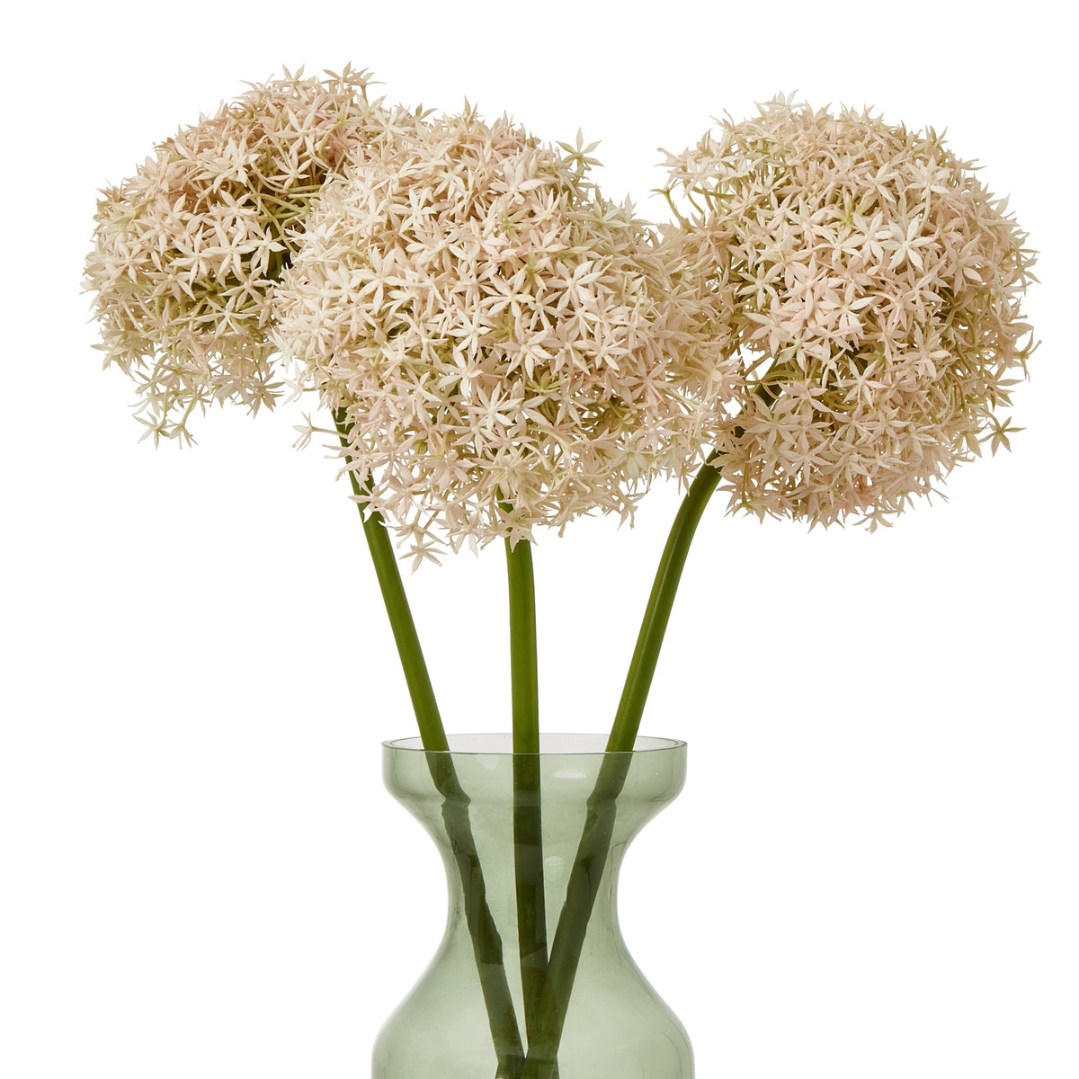 Three pale pink globe flower heads on green stems arranged in a translucent green vase against white.
