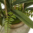 Detail of broad dark-green leaves, lighter fern-like fronds and upright support canes above the moss-like covering and speckled pot rim.