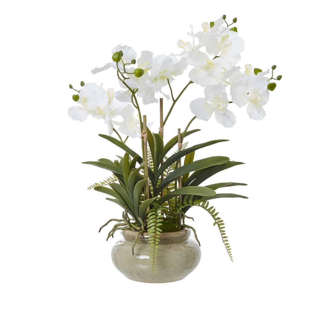 Artificial potted orchid arrangement with arching white blooms, green buds, broad leaves and trailing fern-like fronds above a rounded taupe-speckled pot.