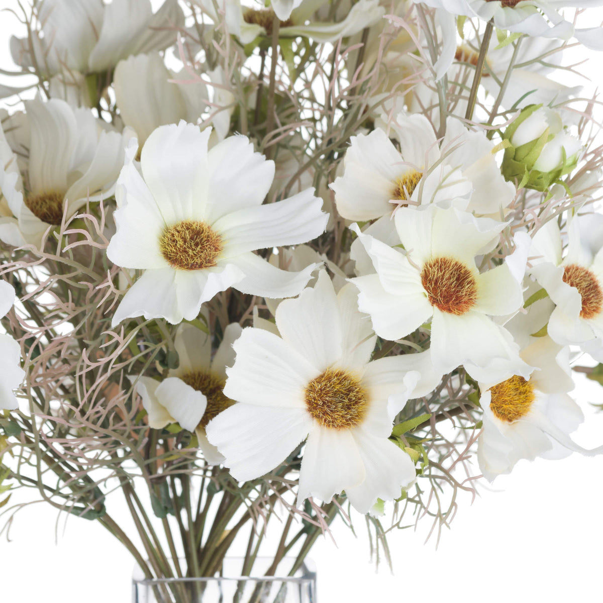 Close-up of cream-white cosmos flowers showing ridged petals, textured brown-gold centres, buds and wispy pale pink foliage, with stems above a clear vase rim.