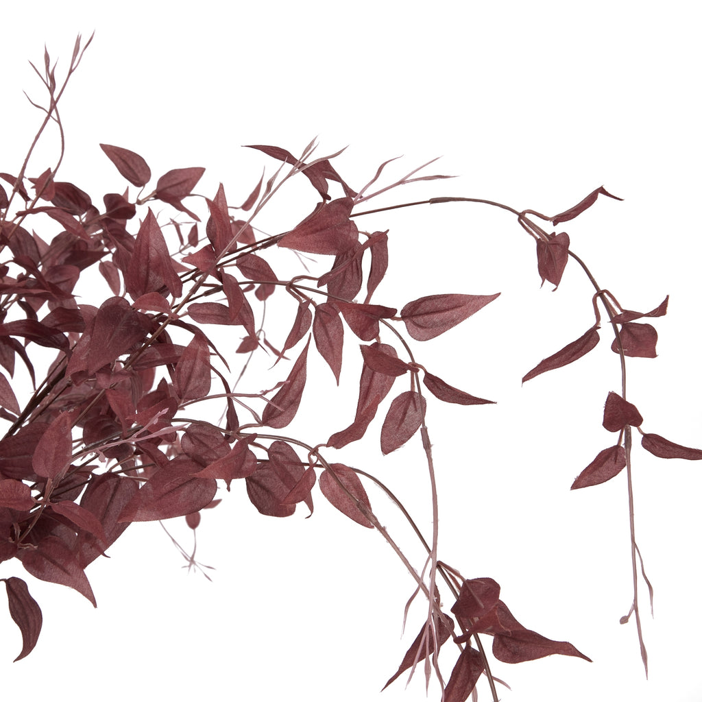 Close-up of burgundy pointed leaves with visible surface lines among curved branches and slender tapered tendrils.
