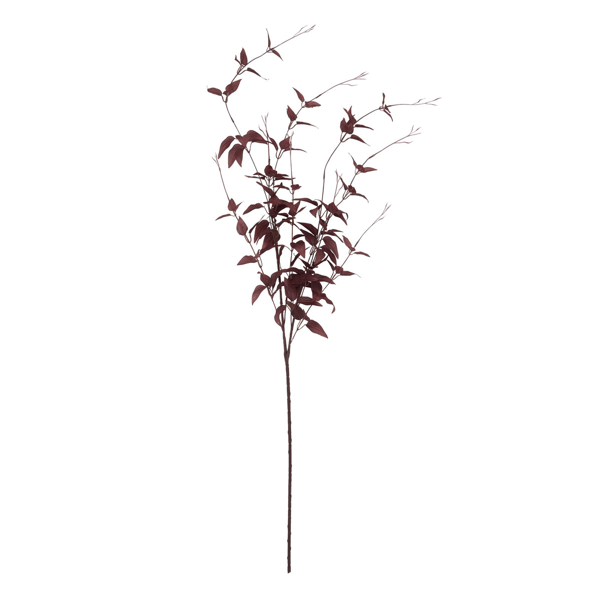 Full view of a burgundy artificial foliage stem with a long bare lower stalk, branching pointed leaves and fine tendrils against white.