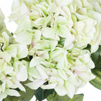 Close-up of overlapping cream and pale green florets, showing fine veining, small green centres and faint blush colouring, with dark leaves behind.