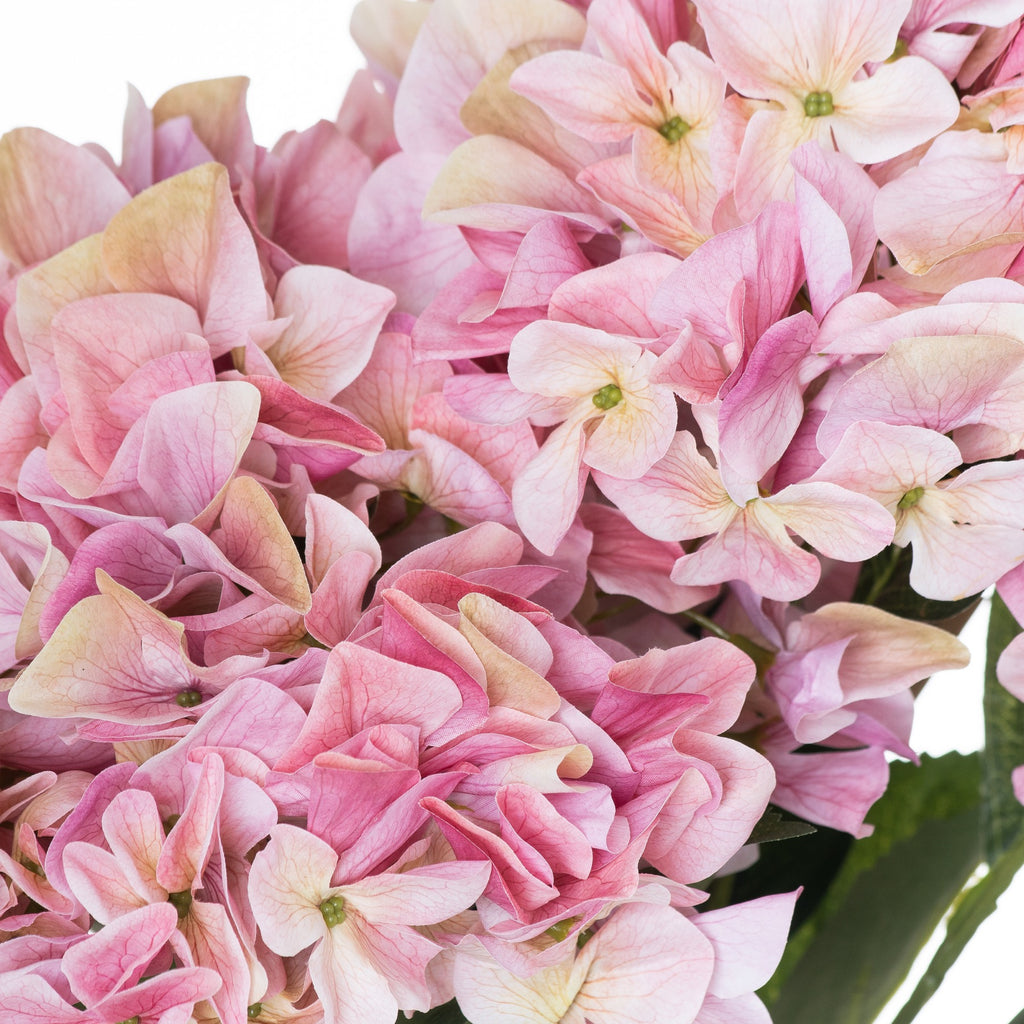 Detail of overlapping pink flower clusters showing curled petal edges, beige-pink shading and green centres, with foliage at the lower right.