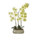 Front view of an artificial orchid arrangement with pale yellow-green flowers, branching stems and dark olive leaves in a low taupe-speckled pot.