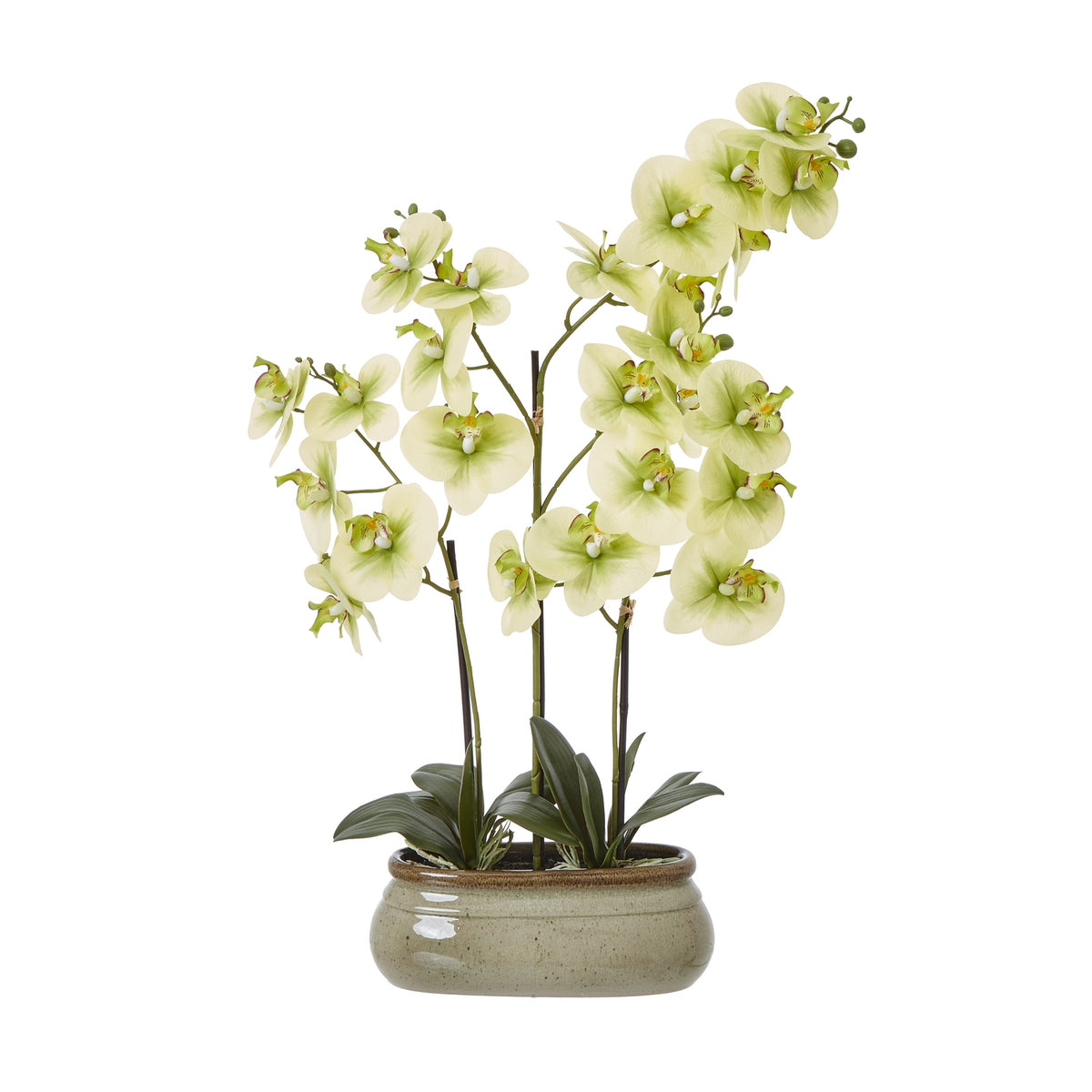 Front view of an artificial orchid arrangement with pale yellow-green flowers, branching stems and dark olive leaves in a low taupe-speckled pot.