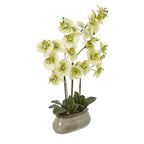Angled view of the potted artificial orchid arrangement showing overlapping pale blooms, green buds, dark support stakes and the rounded end of the elongated pot.