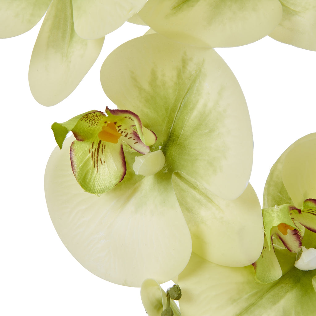 Close-up of a pale yellow-green artificial orchid bloom with green shading across its petals and burgundy markings around its yellow centre.