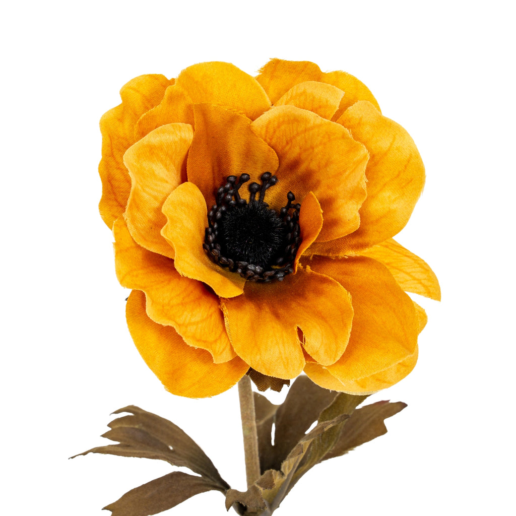 Close-up of the yellow flower head showing overlapping rippled petals, a textured dark round centre and small rounded details around it, with leaves visible below.