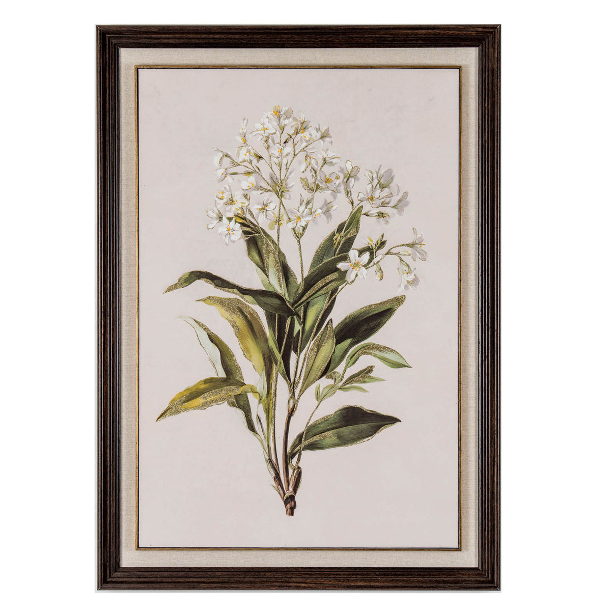 Front view of portrait botanical artwork showing branching white flowers with yellow centres and broad green leaves, surrounded by a pale border and dark brown ridged frame.