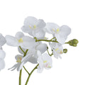 Close-up of white artificial flowers with pale yellow centres and green buds against a white background.